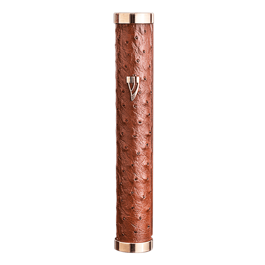 Uniquely Colorful Mezuzah B - Piece By Zion Hadad